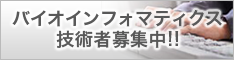 バイオインフォマティクス技術者募集